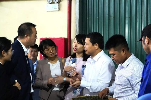 Đoàn đại biểu huyện Hà Khẩu (Trung Quốc) tham quan và khảo sát vùng chè tại huyện Mường Khương