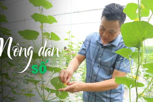Nông dân số