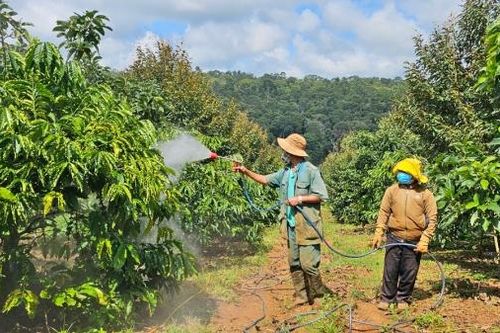 Chuyện làm giàu ở xã anh hùng