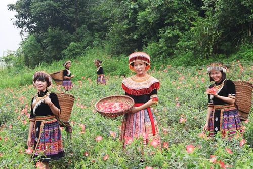 Thái Nguyên: Đầu tư cơ sở hạ tầng thiết yếu vùng DTTS và miền núi