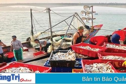 Kinh tế biển, động lực đưa Vĩnh Linh phát triển toàn diện