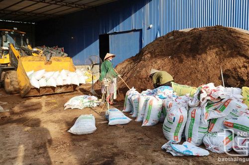 Ô nhiễm từ kho tập kết phân gà giữa khu dân cư