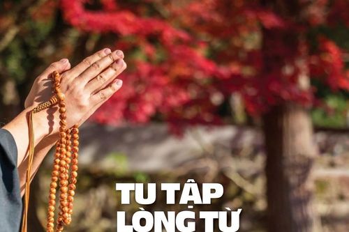 Tu tập lòng từ công đức hơn bố thí