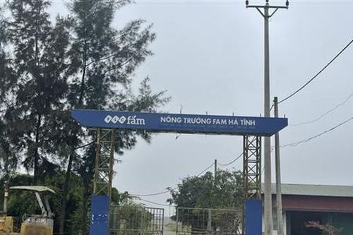 'Khai tử' dự án nông nghiệp công nghệ cao hàng trăm tỷ đồng của FLC