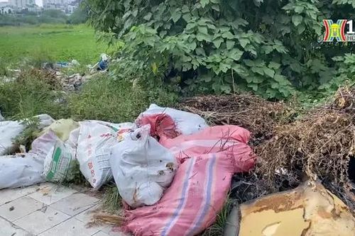 Đường Phạm Tu thành nơi tập kết phế thải