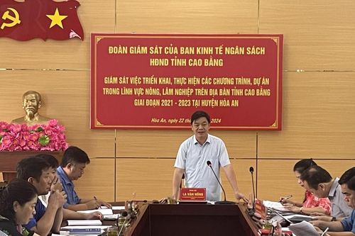 Giám sát thực hiện các chương trình, dự án trong lĩnh vực nông, lâm nghiệp tại huyện Hòa An