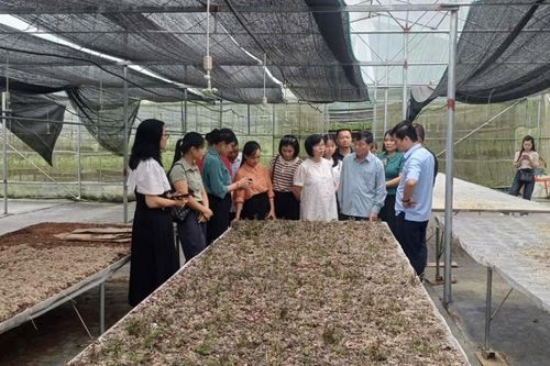 Tọa đàm khoa học 'Kết nối chuyển giao công nghệ, thúc đẩy phát triển các mô hình khởi nghiệp đổi mới sáng tạo trong lĩnh vực nông nghiệp gắn với phát triển du lịch bền vững'