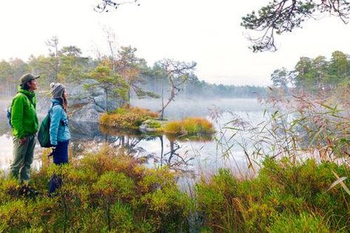 Thụy Điển: Các vườn quốc gia và khu bảo tồn thiên nhiên chưa được quản lý hiệu quả