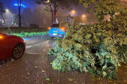 Mưa như trút nước trong đêm, nhiều tuyến phố Hà Nội ngập sâu, cây đổ la liệt
