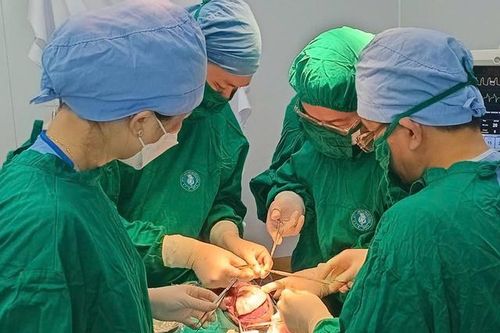 Chơi đùa trên ghế, bé 8 tháng tuổi bị ngã, chấn thương sọ não nặng