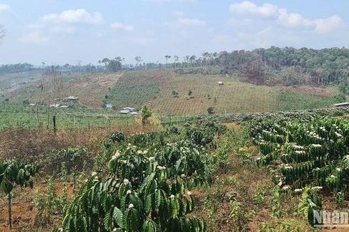 Xác định loại đất đối với đất không có giấy tờ như thế nào?