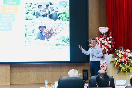 Đánh giá đầy đủ giá trị để phát triển bền vững chuỗi giá trị của cây Đinh lăng
