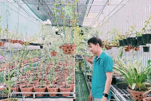 Bình Dương: Ông chủ tự hưởng lương cao từ vườn lan rừng