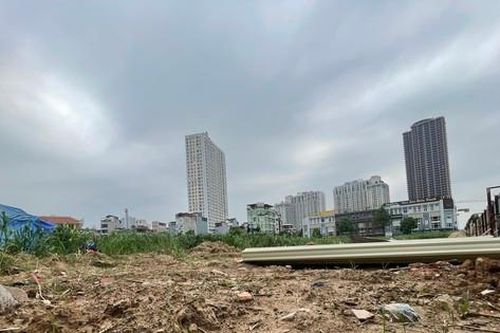 Rà soát hồ sơ, thủ tục hành chính liên quan đến định giá đất