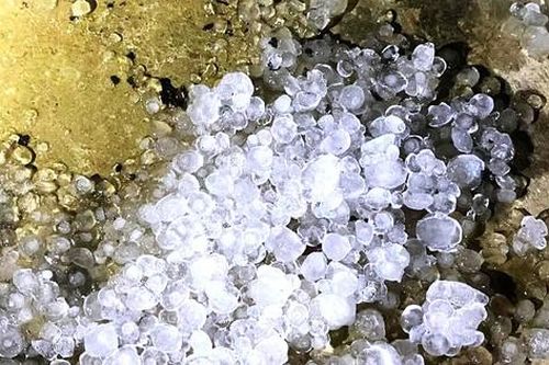 Mưa đá kèm dông lốc 'thổi bay' nửa tỉ đồng của bà con Đắk Nông