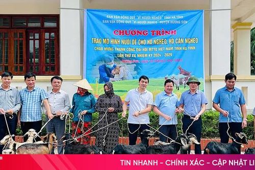 Hỗ trợ 45 con dê giống cho hộ nghèo, cận nghèo ở Hương Sơn
