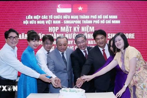 Thắt chặt tình đoàn kết giữa nhân dân Thành phố Hồ Chí Minh và Singapore