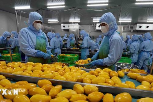 Doanh nghiệp xuất khẩu nông sản cần sớm thích ứng những quy định mới từ EU