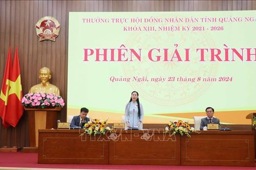 Quảng Ngãi: Giải trình nhiều vấn đề 'nóng' được cử tri và nhân dân quan tâm