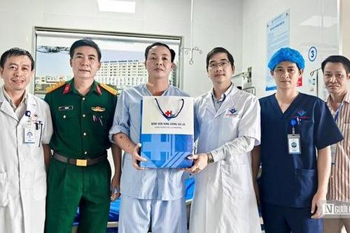 Cấp cứu thành công bệnh nhân bị ong vò vẽ đốt 31 mũi