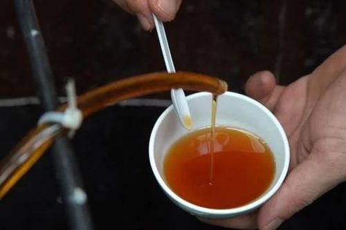 5 'không' khi ăn nước mắm, biết mà tránh kẻo 'rước bệnh'