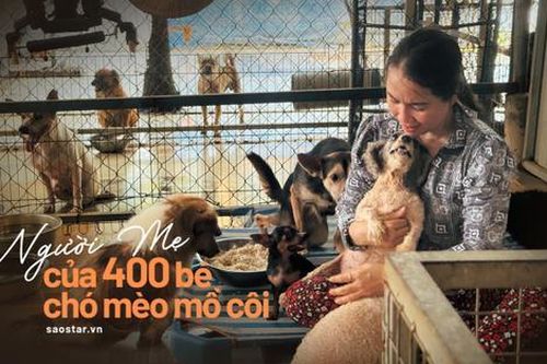 Người mẹ của 400 bé chó mèo mồ côi, tật nguyền ở TPHCM