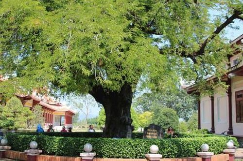 Nắng, mưa Bình Định