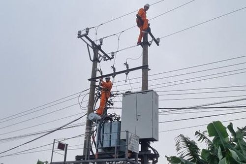 Thái Bình và Hà Tĩnh nỗ lực đảm bảo cung cấp điện mùa mưa bão 2024
