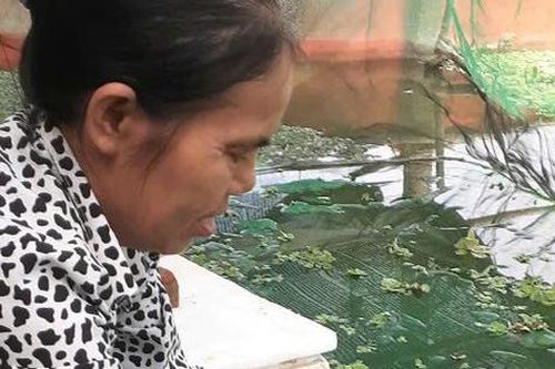 Chuyển đổi 1,4 mẫu ruộng sang trang trại chăn nuôi cho thu nhập 300 triệu đồng/năm