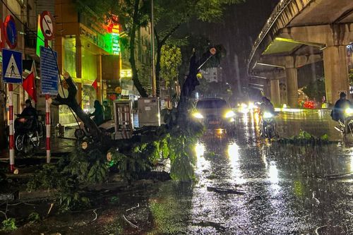 Hà Nội: Dọn dẹp sau cơn mưa lớn kéo dài trong đêm
