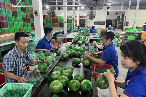 Củng cố quan hệ hợp tác giữa các địa phương Việt Nam và tỉnh Quảng Tây (Trung Quốc)