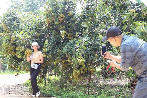 Đồng Nai phát triển mạnh du lịch vườn