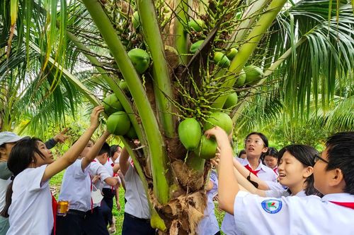 Phát triển du lịch gắn với nông nghiệp, nông thôn