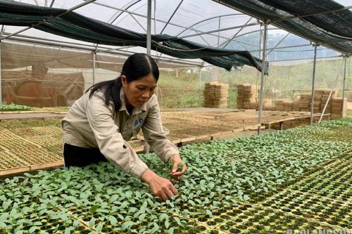 Phát triển chuỗi liên kết: Nâng giá trị sản phẩm nông nghiệp