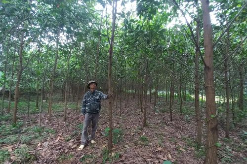 Tập trung giảm nghèo bền vững