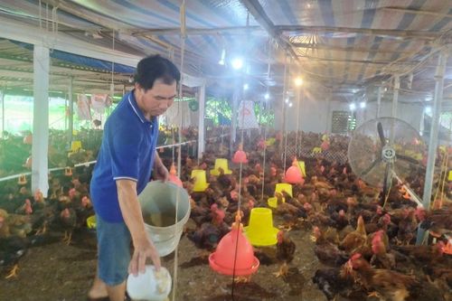 Bảo đảm nguồn cung thực phẩm dịp cuối năm