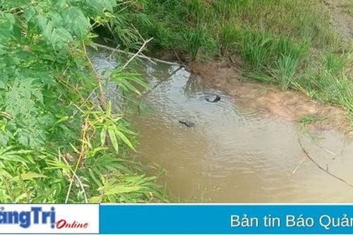 1 học sinh lớp 5 đi chăn bò bị đuối nước tử vong