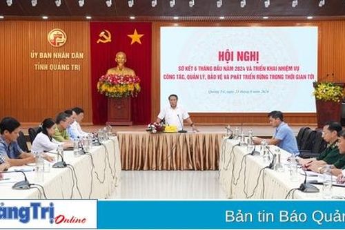Kiểm soát chặt chẽ các dự án có chuyển đổi mục đích sử dụng rừng