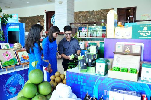 Giúp nông sản vươn xa