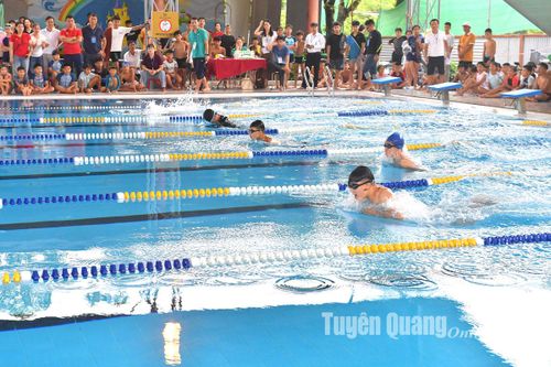 48 vận động viên đoạt Giải Bơi học sinh phổ thông tỉnh Tuyên Quang năm 2024
