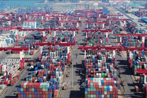FTA Canada - ASEAN có thể sẽ có hiệu lực vào năm tới
