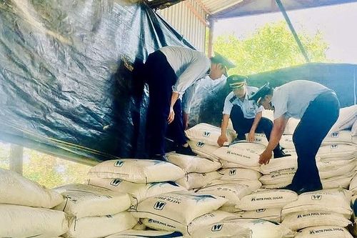Quảng Trị: Xử phạt 1 vụ nhập lậu đường cát nộp ngân sách hơn 1,1 tỷ đồng
