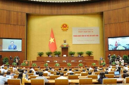 Cam kết và hành động