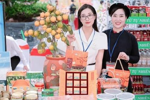Khó tiếp cận vốn ngân hàng, HTX tìm cách đa dạng nguồn hỗ trợ