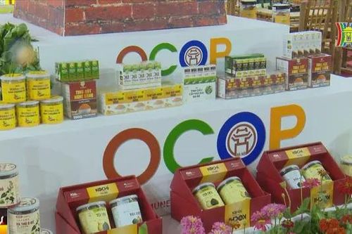 Hội chợ OCOP các tỉnh miền Trung và Tây Nguyên