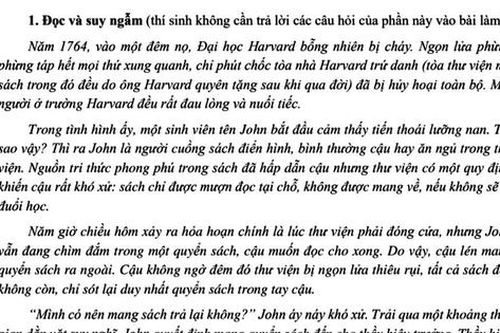 Đề học sinh giỏi Ngữ văn: Những đam mê chính đáng là lí do để biện minh cho sai lầm?