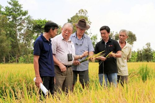 'Bưng bát cơm đầy'- thương nhớ Giáo sư Võ Tòng Xuân