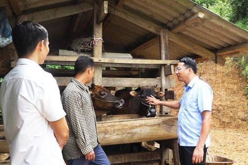 Bảo Lâm chăm lo đời sống, đảm bảo an sinh xã hội vùng đồng bào dân tộc thiểu số