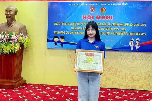 Nguyễn Tô Nhật Ánh - Gương sáng 'Học sinh 3 tốt'