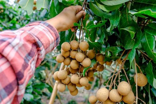 5 nhóm người nên hạn chế ăn nhãn